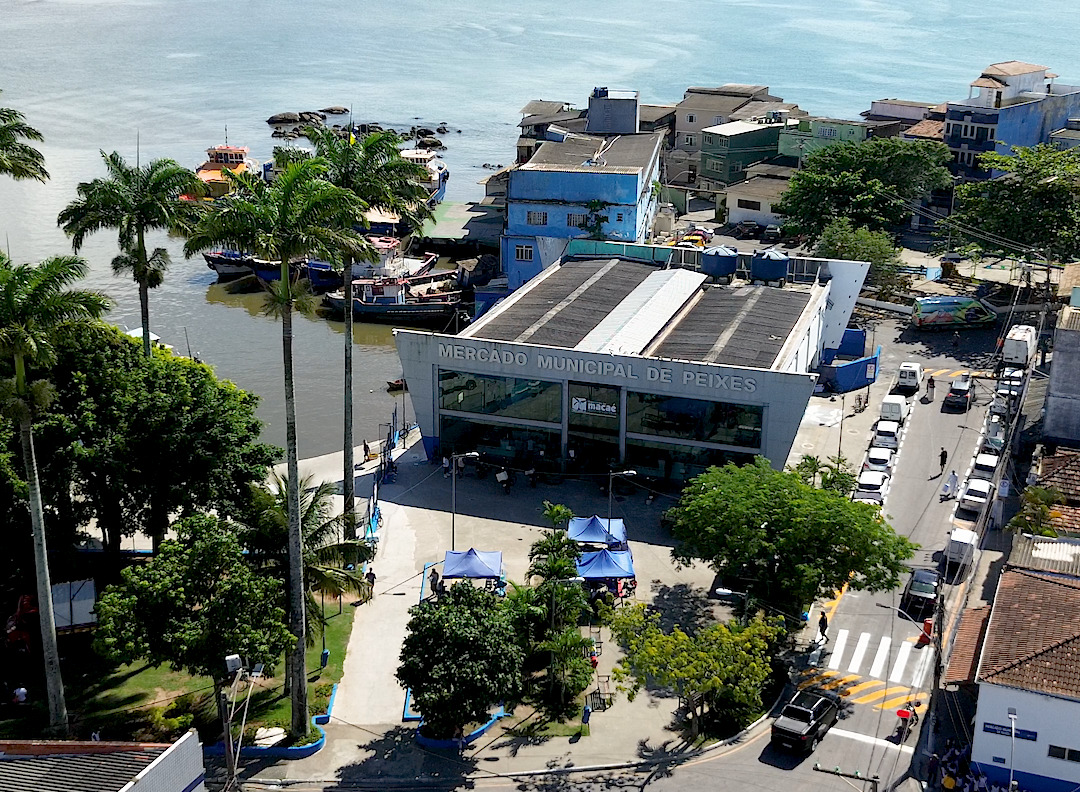 Mercado de Peixes se consolida com um dos maiores polos de abastecimento de pescado da região