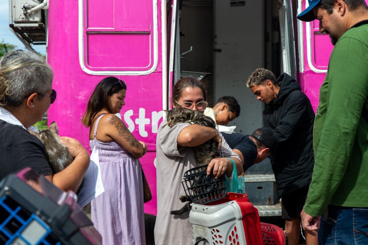 Cabo Frio encerra mutirão de castração animal com sucesso de público