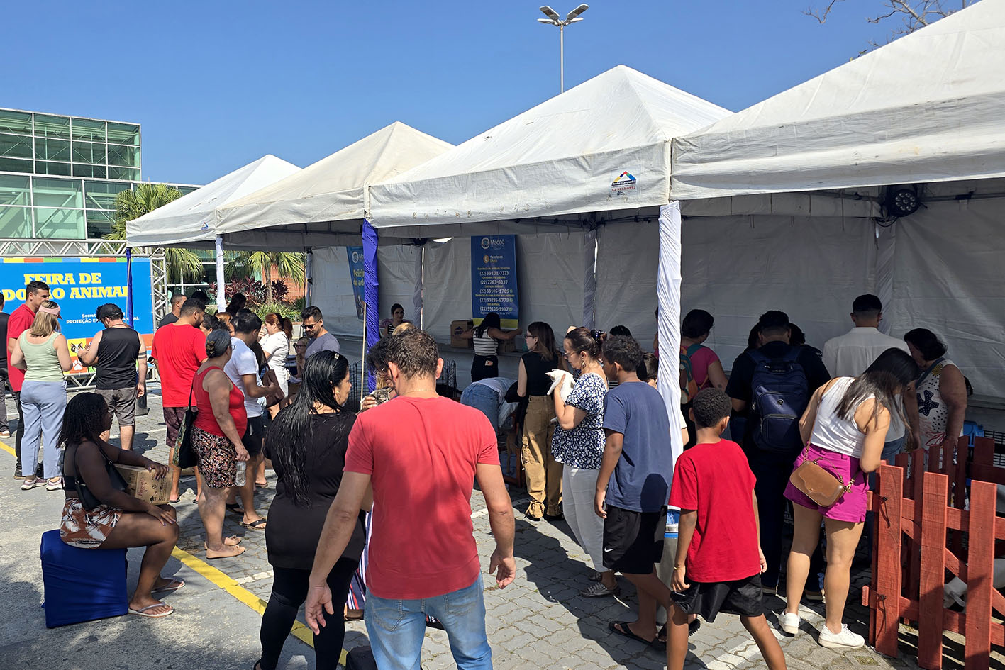 Macaé promove Feira de Adoção de Animais