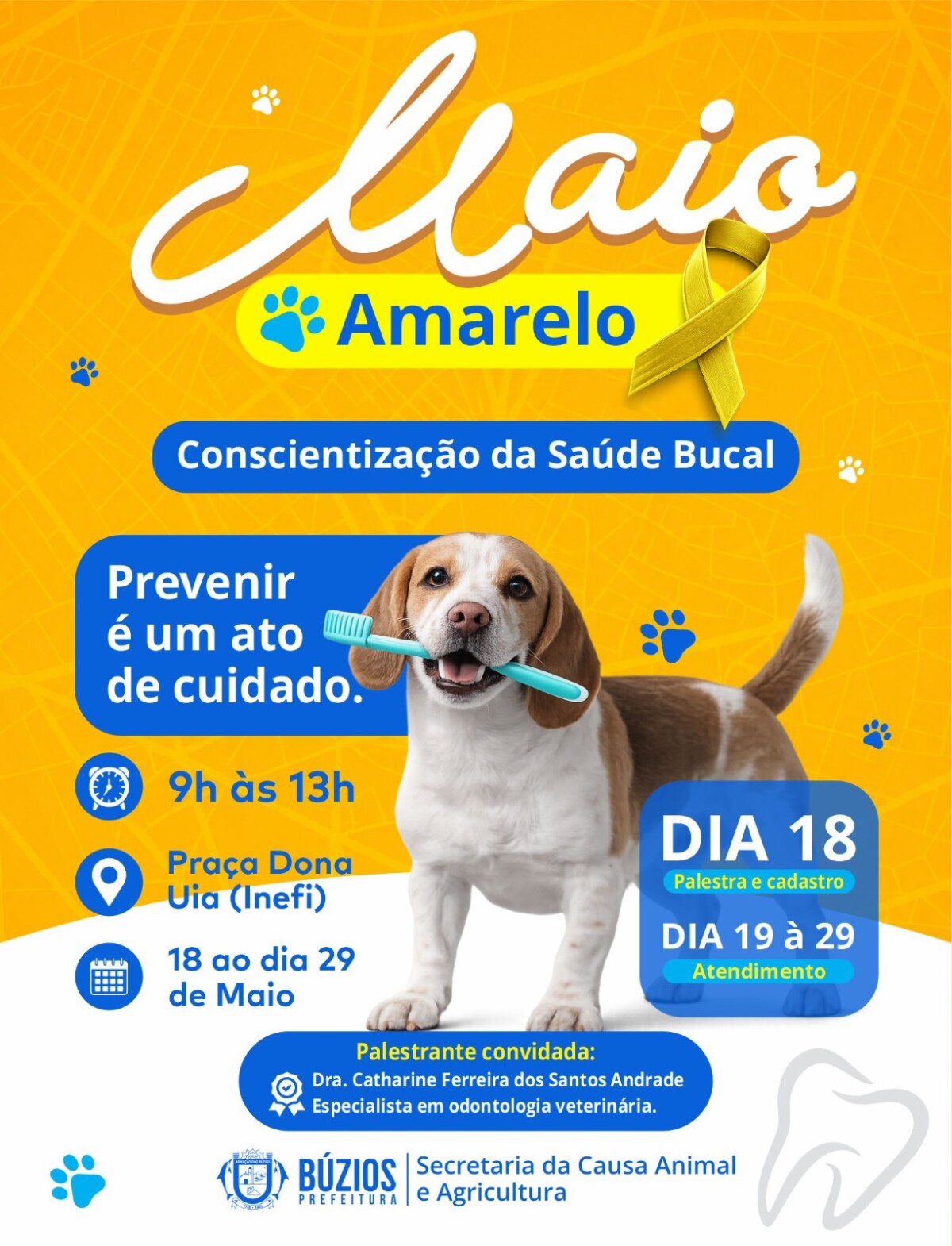 Campanha Maio Amarelo Pet promove conscientização sobre saúde bucal animal na Praça Tia Uia, na Rasa
