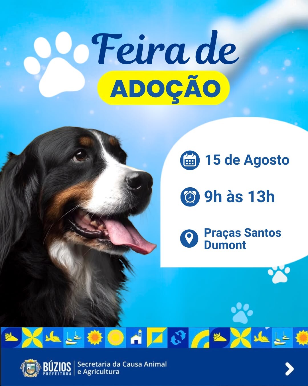Prefeitura de Búzios realiza feira de adoção de animais na Praça da Ferradura neste sábado