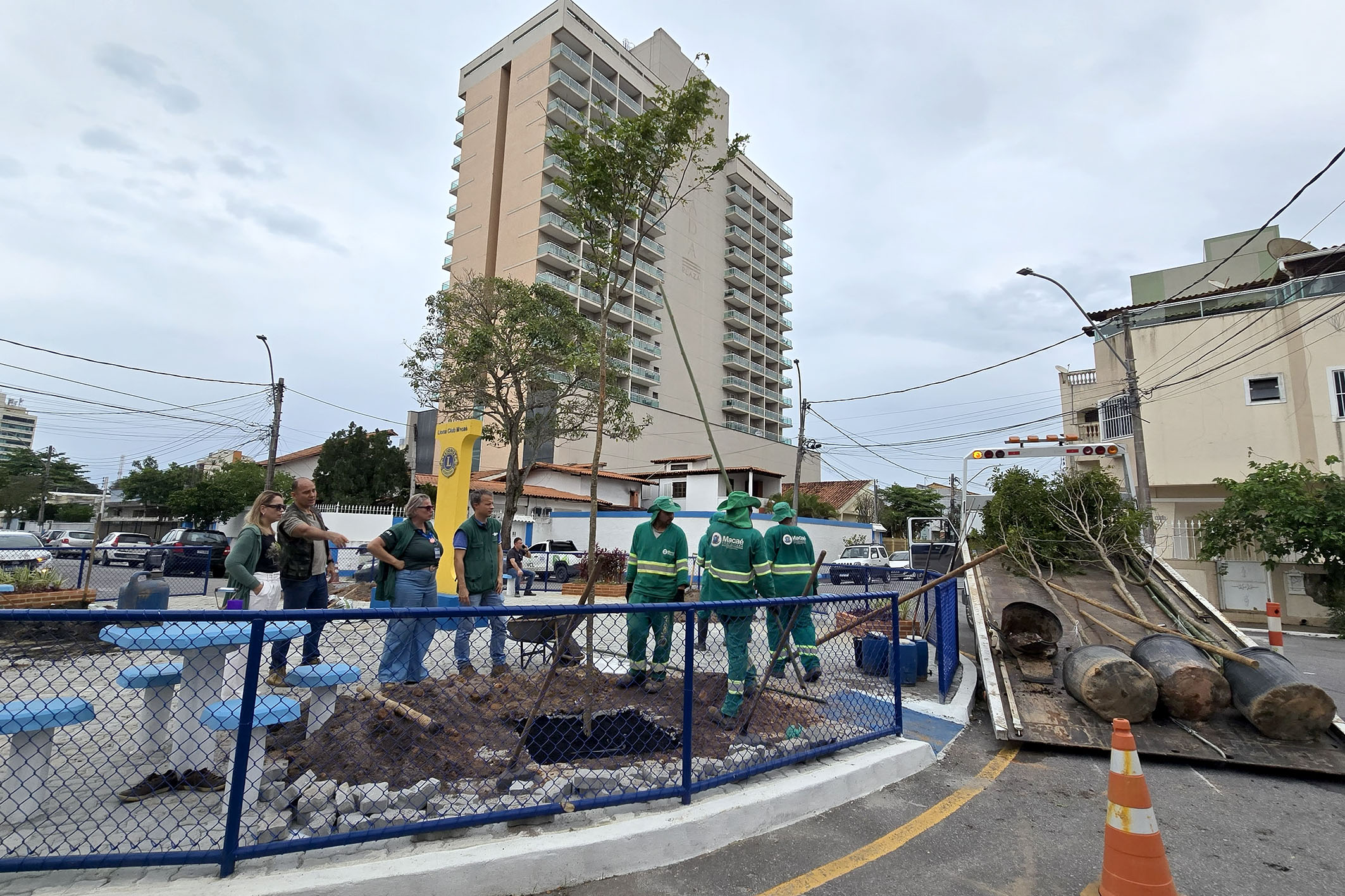 Mudas de pau-brasil e uma terceira minifloresta urbana comemoram Dia da Árvore