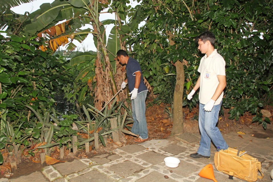Prefeitura de Búzios reforça alerta contra o Aedes aegypti durante período de chuvas