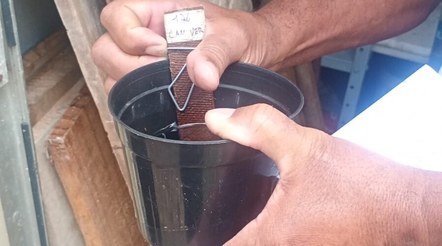 Saúde de Cabo Frio amplia monitoramento de locais com incidência de focos do mosquito Aedes aegypti