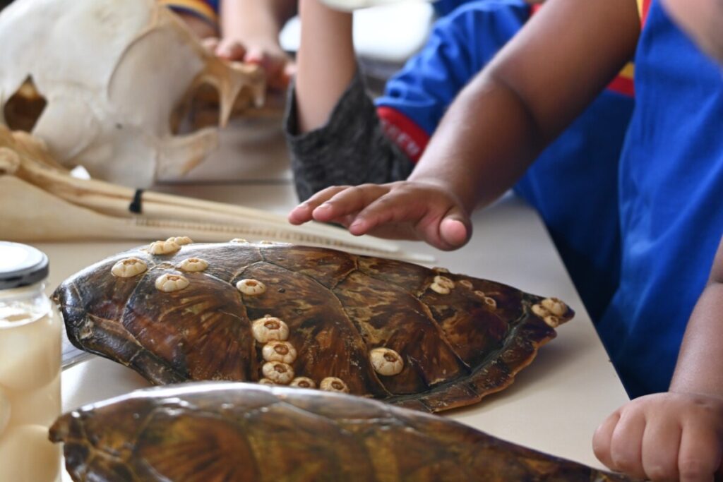 Educação Ambiental: Parceria com Instituto BW leva conscientização sobre fauna marinha aos alunos do Palmital
