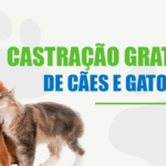 Inscrições para nova etapa de castração gratuita de cães e gatos começam nesta quarta (07) no CRAS Porto da Aldeia