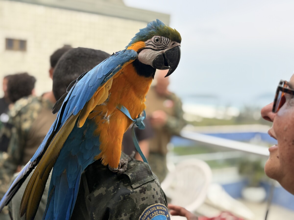 Guarda Marítima e Ambiental de Cabo Frio aprimora técnicas para resgate de animais silvestres