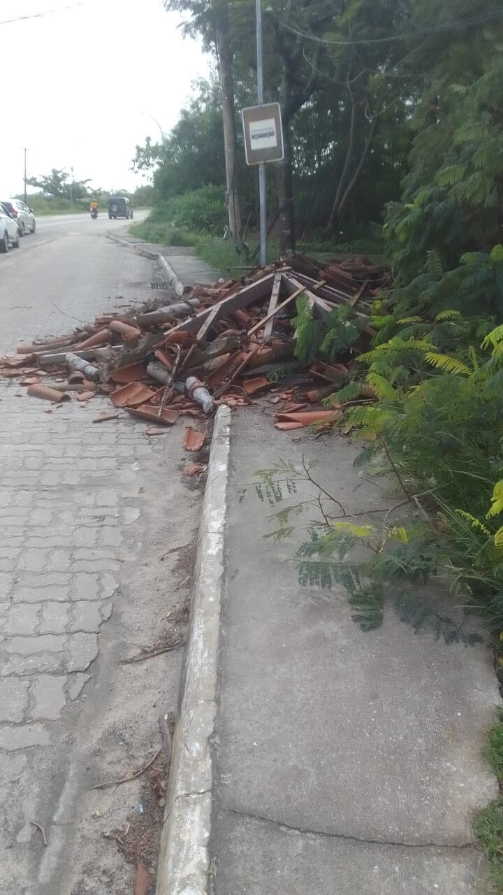 Prefeitura isola área após árvore cair sobre ponto de ônibus na Baía Formosa